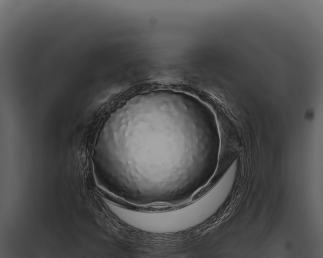 X0000097971398200804011710