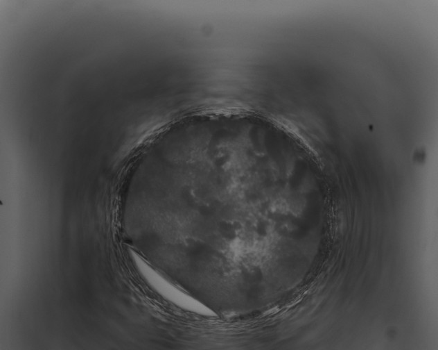 X0000097971399200804011710