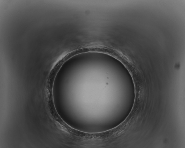 X0000097971400200804011710