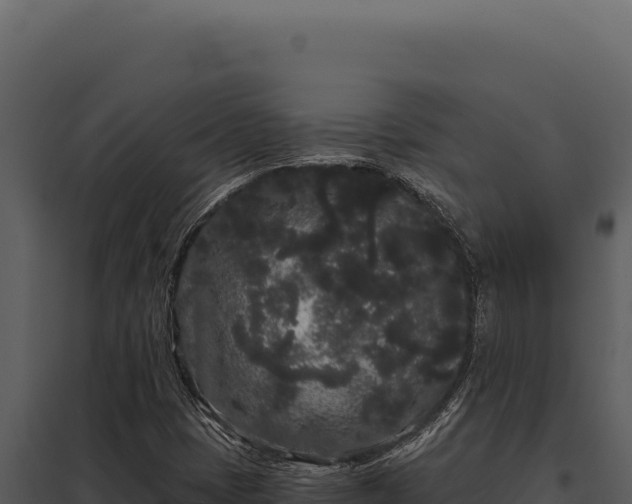 X0000097971401200804011710