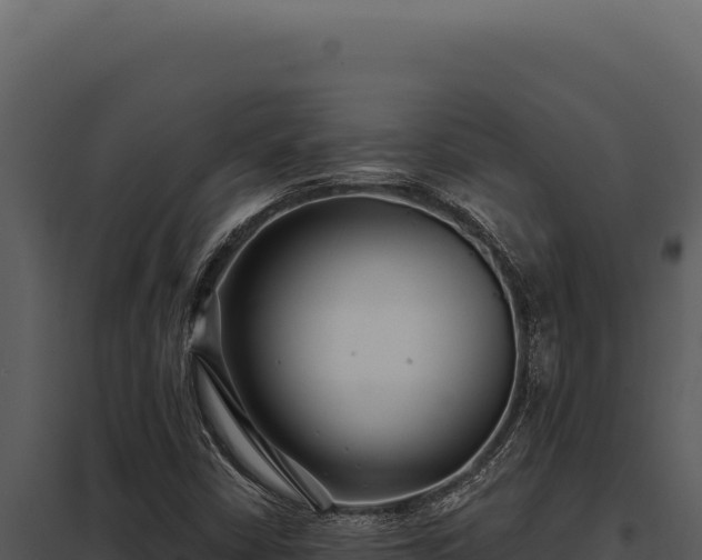 X0000097971402200804011710