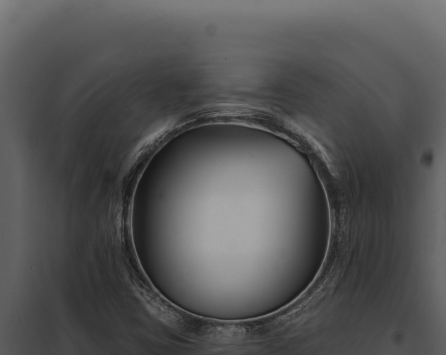 X0000097971403200804011710