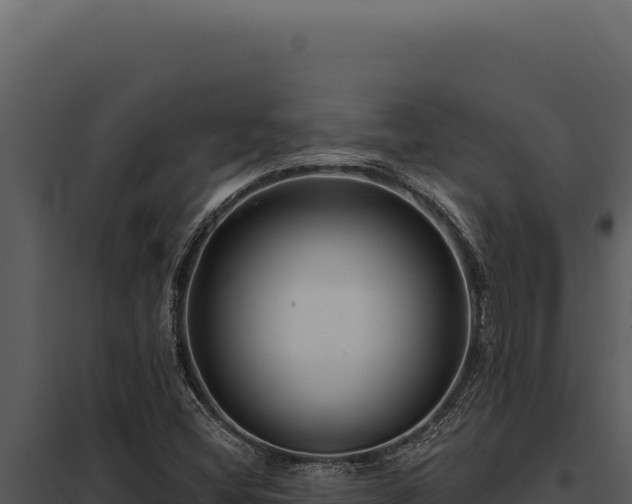 X0000097971404200804011710