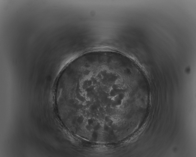 X0000097971405200804011710