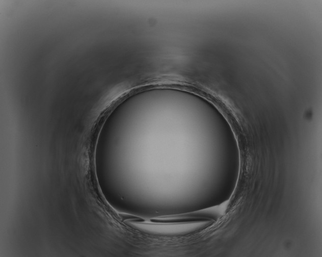 X0000097971407200804011710