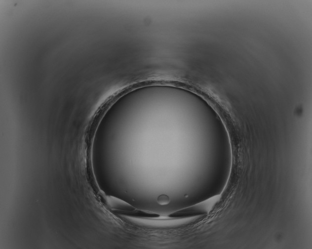 X0000097971408200804011710