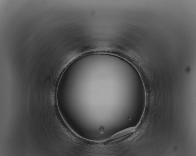 X0000097971409200804011710