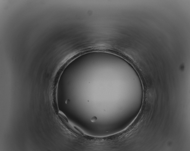 X0000097971410200804011710