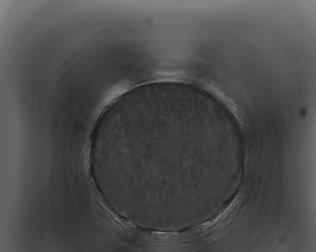 X0000097971411200804011710