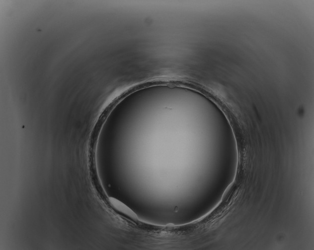 X0000097971412200804011710