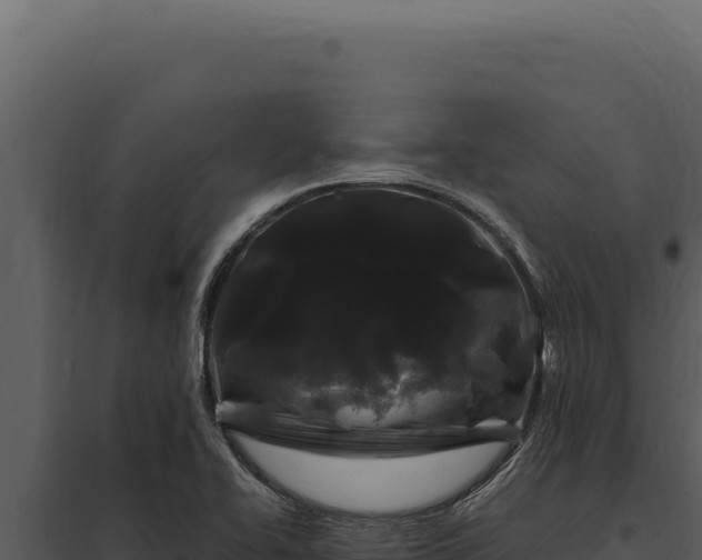 X0000097971414200804011710