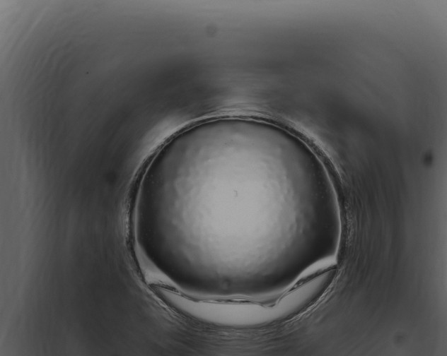 X0000097971415200804011710