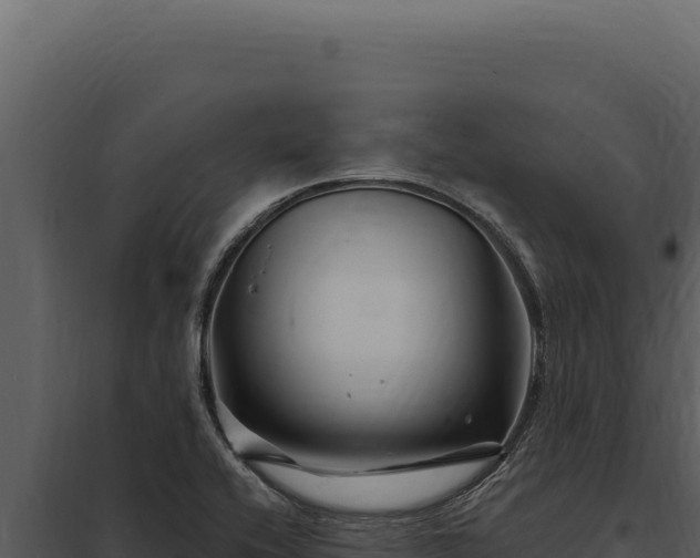X0000097971416200804011710