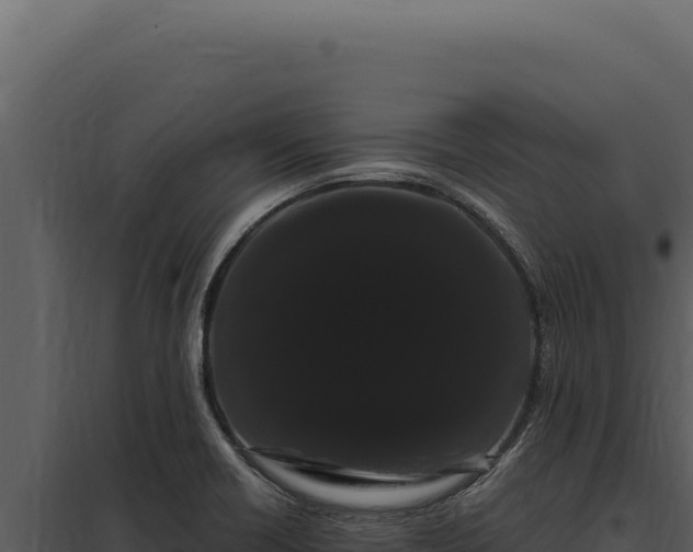 X0000097971418200804011710