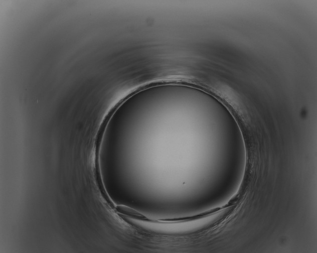 X0000097971420200804011710