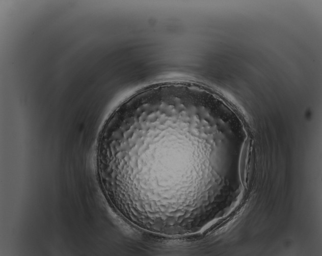 X0000097971421200804011710