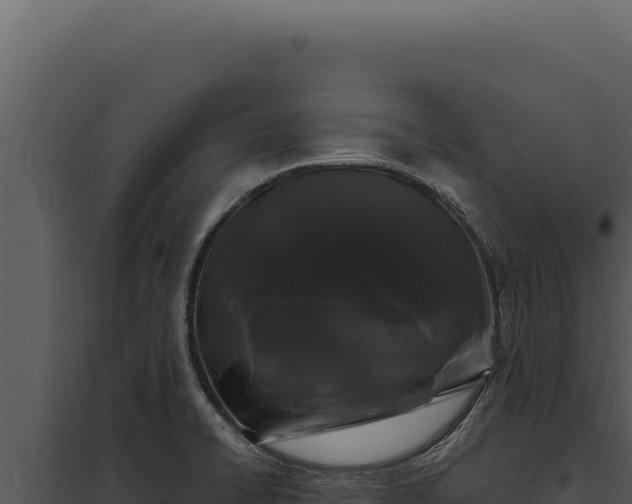 X0000097971422200804011710