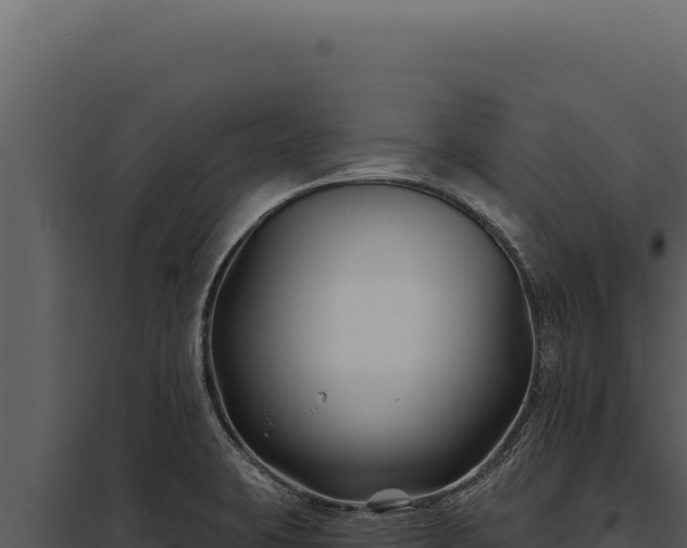 X0000097971423200804011710