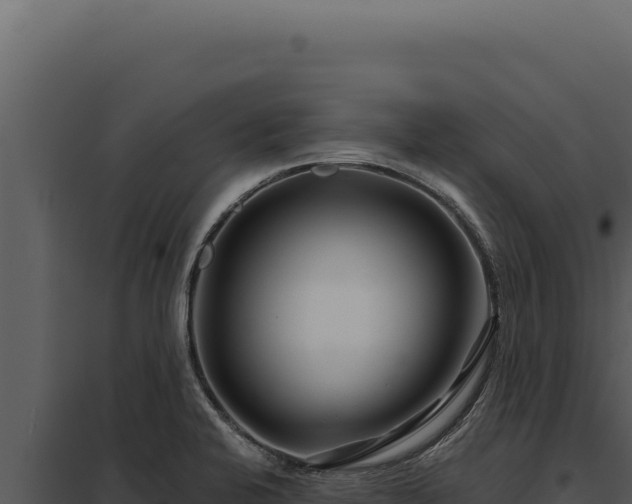 X0000097971424200804011710