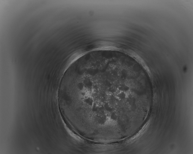 X0000097971425200804011710