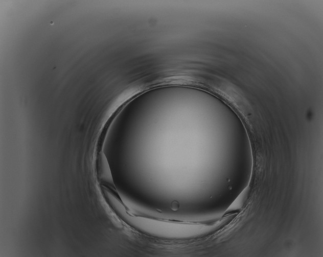 X0000097971426200804011710