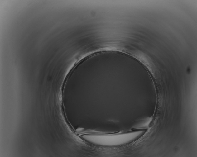 X0000097971428200804011710
