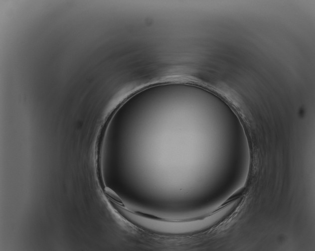 X0000097971430200804011710