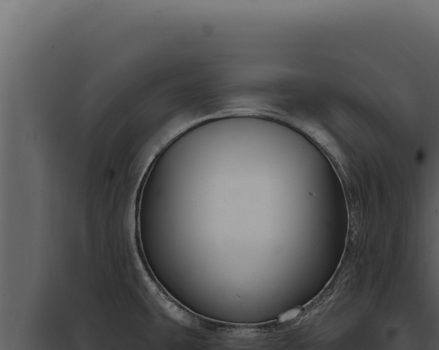 X0000097971431200804011710