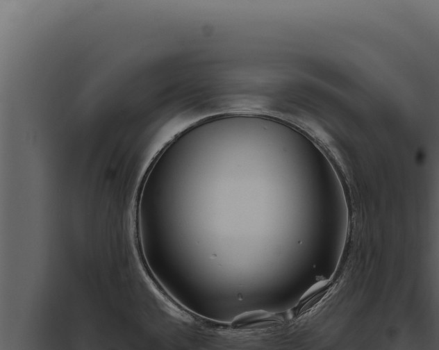 X0000097971432200804011710
