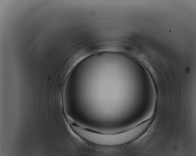 X0000097971433200804011710