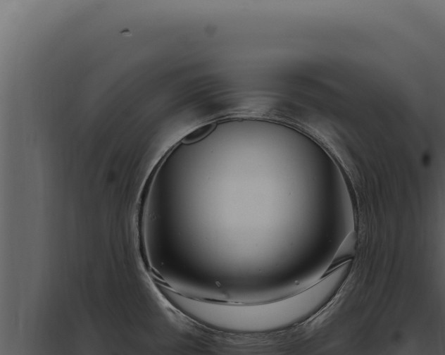 X0000097971434200804011710