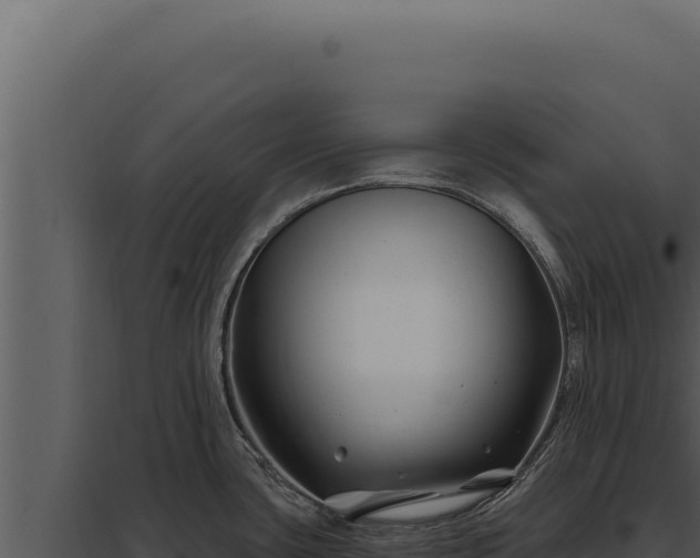 X0000097971435200804011710