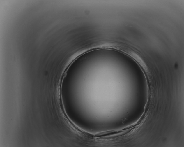 X0000097971436200804011710