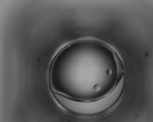 X0000097971438200804011710