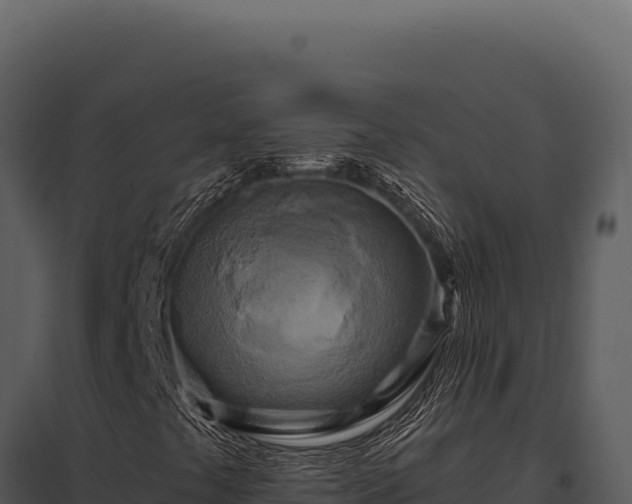 X0000097971441200804011709
