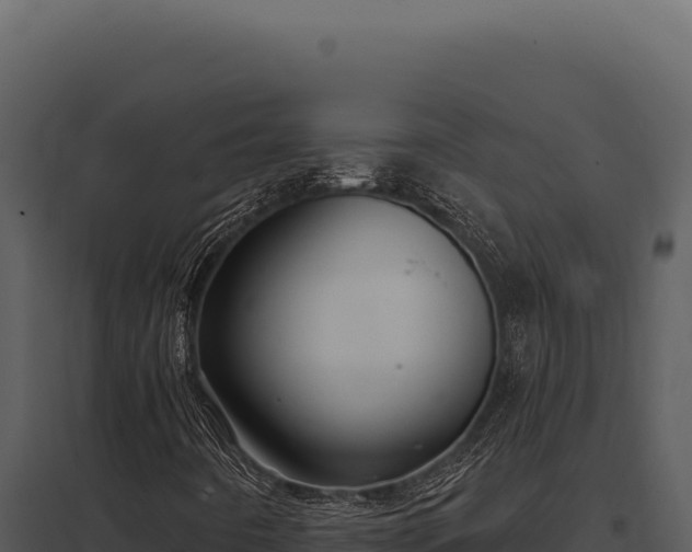 X0000097971442200804011709