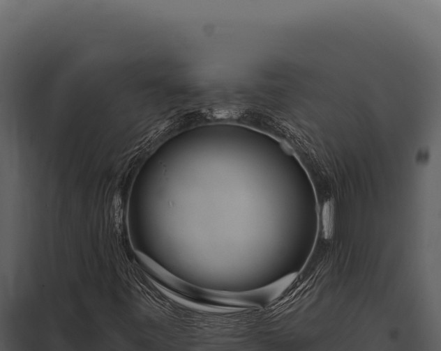 X0000097971443200804011709