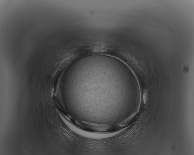 X0000097971444200804011709