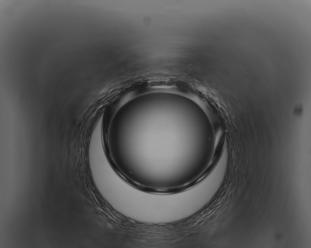 X0000097971445200804011709