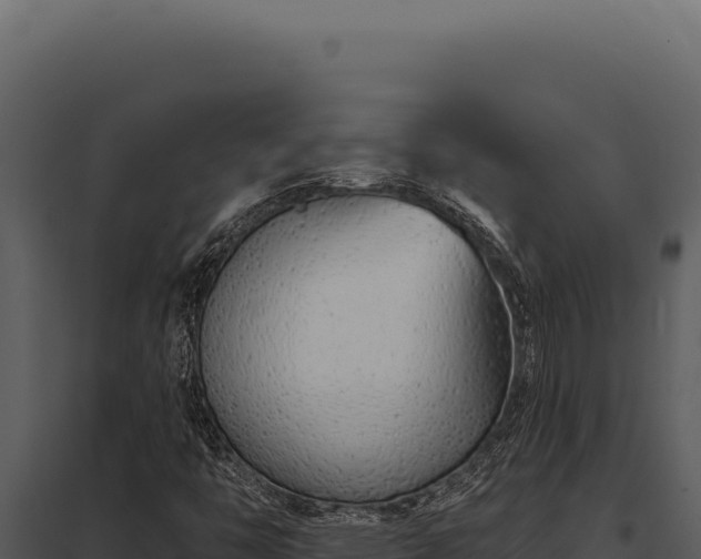 X0000097971446200804011709