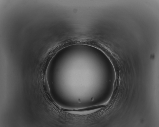X0000097971447200804011709