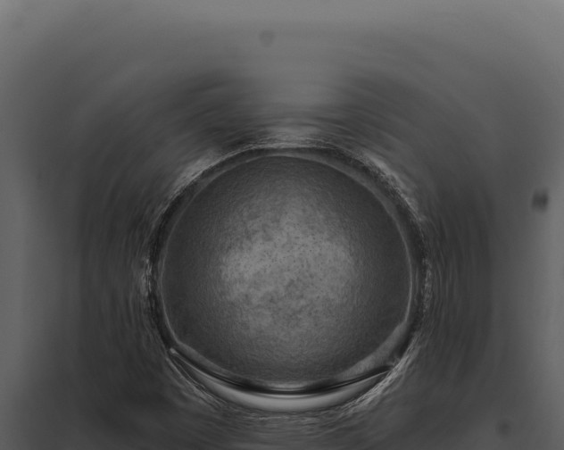 X0000097971449200804011709