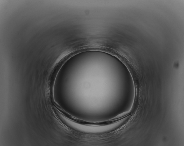 X0000097971450200804011709