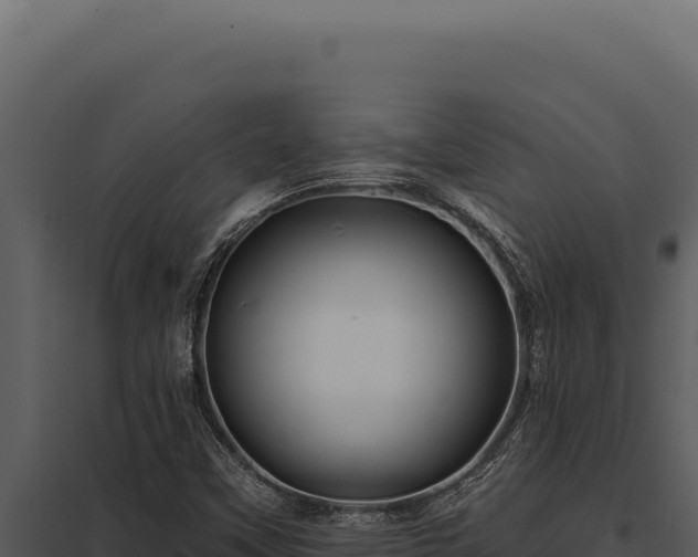 X0000097971451200804011709
