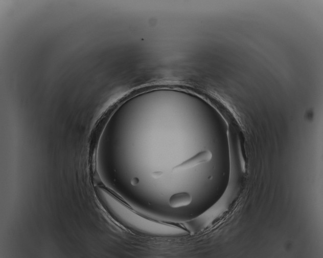 X0000097971452200804011709