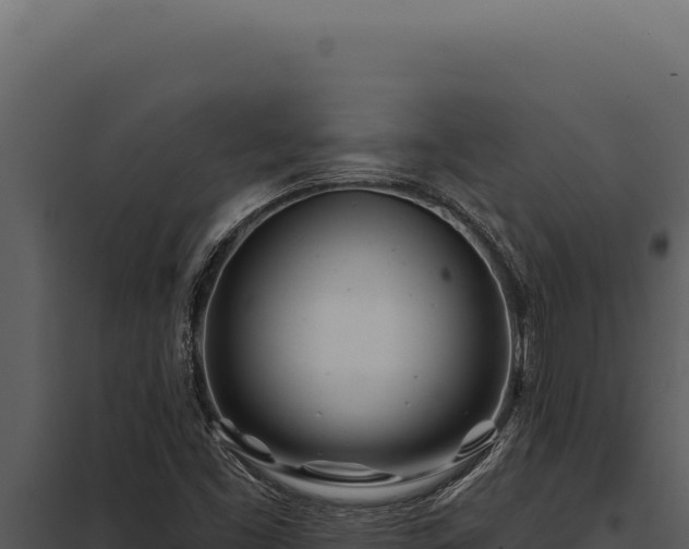 X0000097971453200804011709