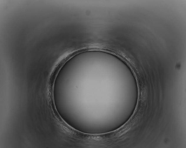 X0000097971454200804011709