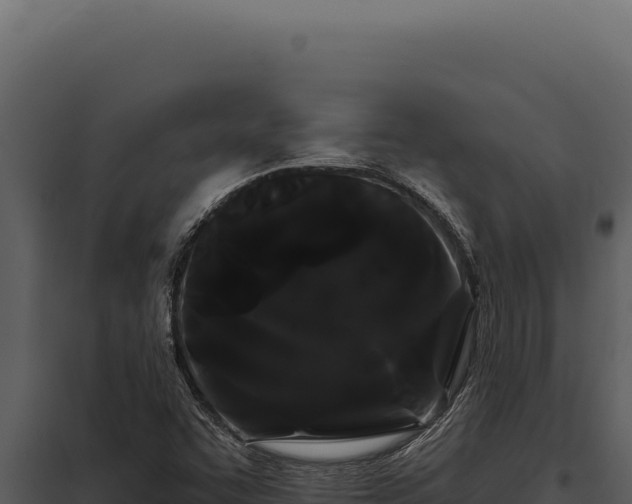 X0000097971455200804011709