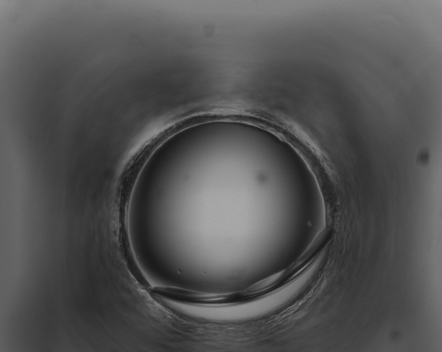 X0000097971456200804011709