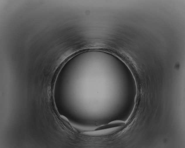 X0000097971457200804011709